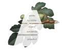 CULTI - Diffuser Decor Classic Raumduft 'Oficus' - 1000ml Thumbnail